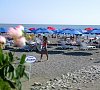 Альмира Адлер цены