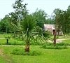 Отель Золотая бухта Пицунда фото