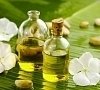 Фитотерапия, отдых все включено №4