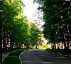 Отель «Orchestra OKA Spa Resort» Подмосковье #14