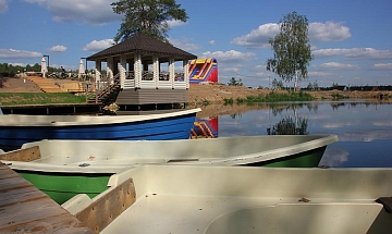 IMG