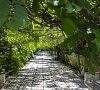 Пансионат «Рыбачье» Алушта, Крым #17