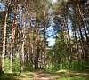 Санаторий Череха Псковская область - официальный сайт