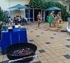 Ласточкино гнездо Геленджик цены