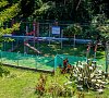 Отель Морская звезда Сочи Отель Морская звезда Сочи