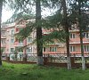 Энергетик Шепси - официальный сайт