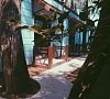 Ора Гагра цены