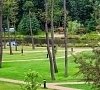 Ареал Горьковское шоссе