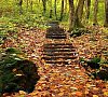 Отель Красная Поляна п. Красная Поляна фото