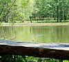 Радуга Гродненская область цены