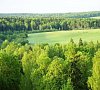 Санаторий Загорские дали Ярославское шоссе