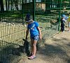 База отдыха «Турсиб» Горный Алтай #17
