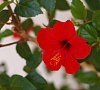 Отель «Флорин» Геленджик #28