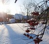 База отдыха «Тайнинская слобода» Алтайский край #18