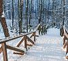 Силичи Минская область цены