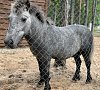 Санаторий «Ружанский» Белоруссия #23