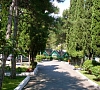 Турбаза «Мир» Алушта, Крым #18