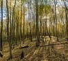 Санаторий «Пралеска» Гродненская область #33