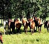 Санаторий «Юматово» Башкирия #16 Санаторий «Юматово» Башкирия #16