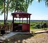 Ласточка Тюменская область