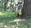 Санаторий «Кисловодский» Кисловодск #34