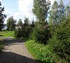 Отель Деревня Александровка Карелия