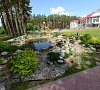 Сосны Гомельская область цены