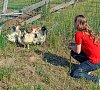 Отельный комплекс Лесное #55