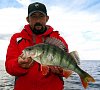 Отель «Бригантина» Ярославская область #17