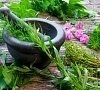 Ванна травяная, отдых все включено №10