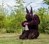 Санаторий Ижминводы Татарстан