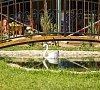Коронелли Феодосия - официальный сайт Коронелли Феодосия - официальный сайт