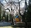 Санаторий «Белоруссия» Ялта, Крым #16