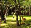 Джунгли Симферопольское шоссе цены