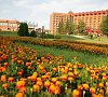 Заря Каширское шоссе