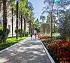 Санаторий «Сосновая роща» Ялта, Крым #16