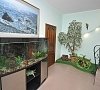 Отель Сурож Судак фото