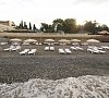 Отель «Атола» Лоо #27