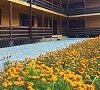 Отель «Дуглас» Пицунда, Абхазия #24 Отель «Дуглас» Пицунда, Абхазия #24