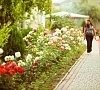 Отель «Нарлен» Коктебель, Крым #29 Отель «Нарлен» Коктебель, Крым #29