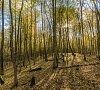 Санаторий «Пралеска» Гродненская область #17