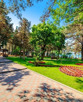 Путевки в санатории Геленджика Путевки в санатории Геленджика