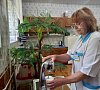 Санаторий «Летцы» Белоруссия #41
