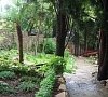 Пансионат «Морской Бриз» Гурзуф, Крым #25