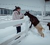Отель «Horseka resort» Ногинский район #20