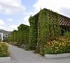 Отель «Нарлен» Коктебель, Крым #41 Отель «Нарлен» Коктебель, Крым #41
