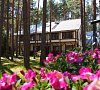 Плесков Псковская область цены