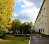 Сосны Новорязанское шоссе