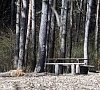 Санаторий «Краинка» Тульская область #15