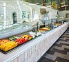 Гелиос Ленинградская область цены